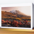 Believe in Miracles - Mount Rainier National Park Wall Mural Gallery Image 2