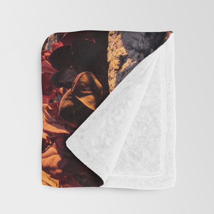 Believe in Miracles - Mount Rainier National Park Throw Blanket Gallery Image 3
