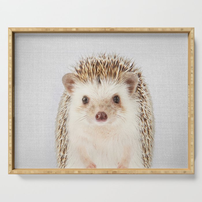 Hedgehog - Colorful Serving Tray Gallery Image 1