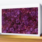 Viva Magenta 18-1750 Pantone's Color of the Year 2023 Wall Mural Gallery Image 2