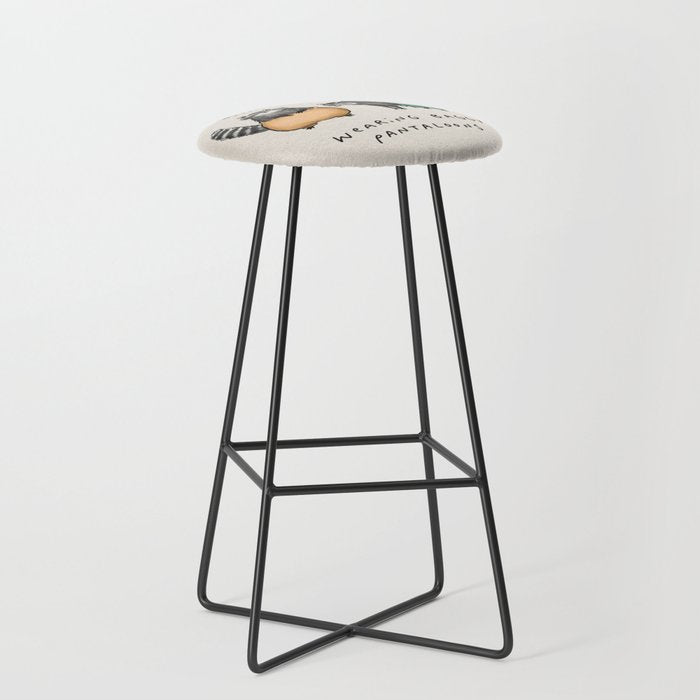 Raccoons Wearing Baggy Pantaloons Stool Gallery Image 1