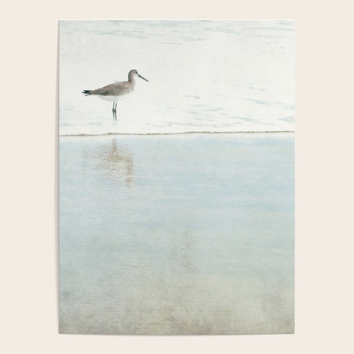 Reflecting Sandpiper Poster Gallery Image 4