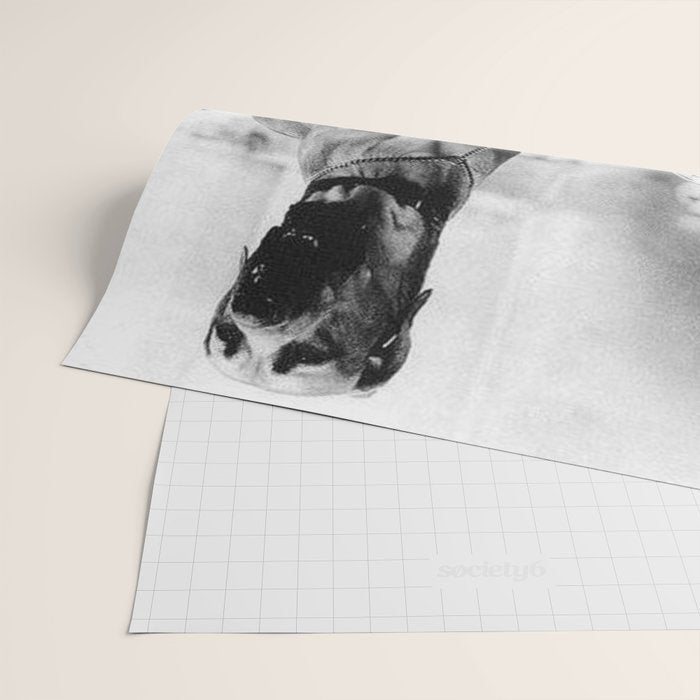 The Happiness of Little Girls and Great Danes black and white photograph Wrapping Paper Gallery Image 2