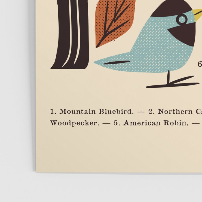 Backyard Birds Guide Poster Gallery Image 3