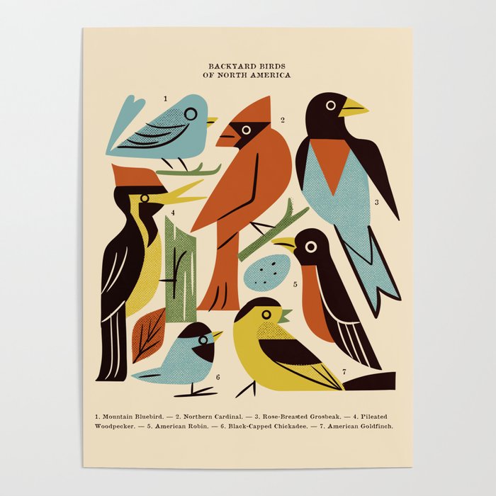 Backyard Birds Guide Poster Gallery Image 1