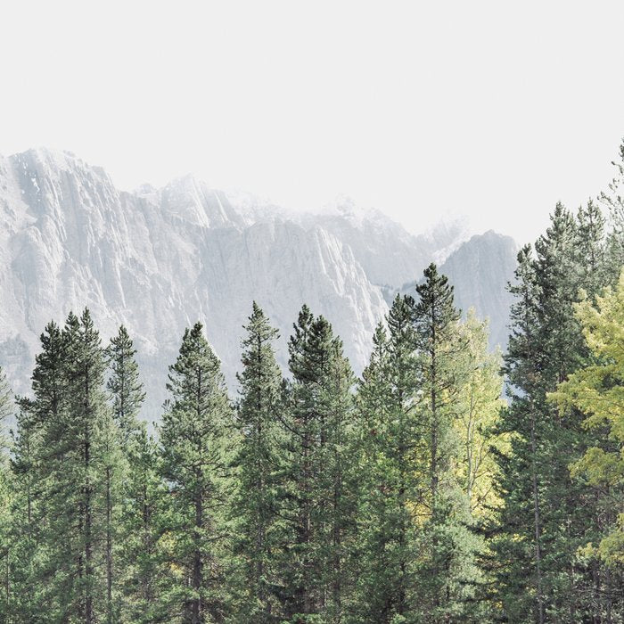 Treeline - Nature and Landscape Photography Coffee Mug Gallery Image 2