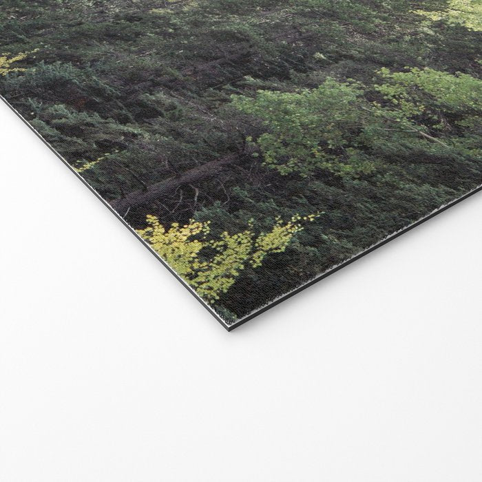 Treeline - Nature and Landscape Photography Welcome Mat Gallery Image 2