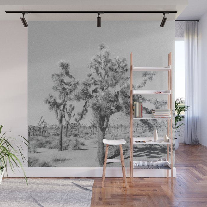 JOSHUA TREE VII / California Desert Wall Mural Gallery Image 1