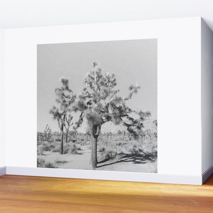 JOSHUA TREE VII / California Desert Wall Mural Gallery Image 2