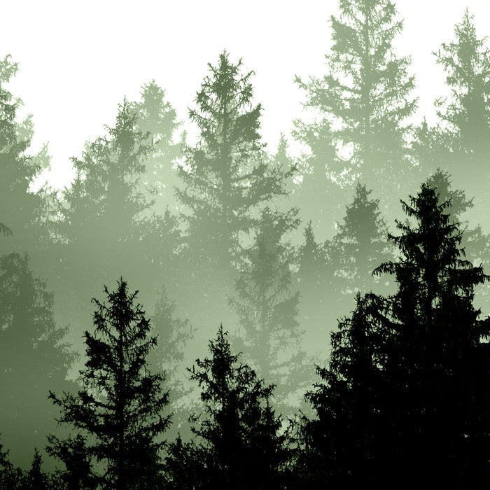 Green Forest Dream #1 #decor #art #society6 Coffee Mug Gallery Image 2