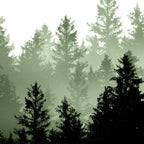 Green Forest Dream #1 #decor #art #society6 Coffee Mug Gallery Image 2