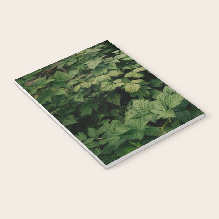 Rubus Notebook Gallery Image 3