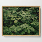 Rubus Serving Tray Gallery Image 1