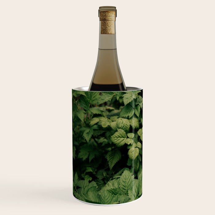 Rubus Wine Chiller Gallery Image 2