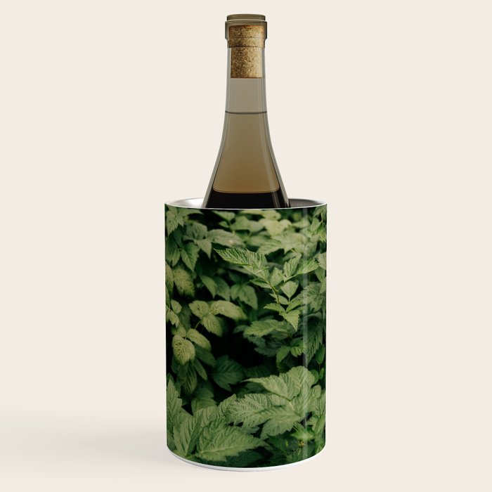 Rubus Wine Chiller Gallery Image 1