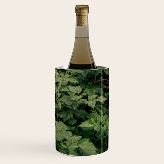 Rubus Wine Chiller Gallery Image 3