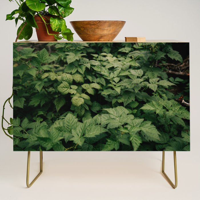 Rubus Credenza Gallery Image 1
