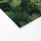 Rubus Welcome Mat Gallery Image 2