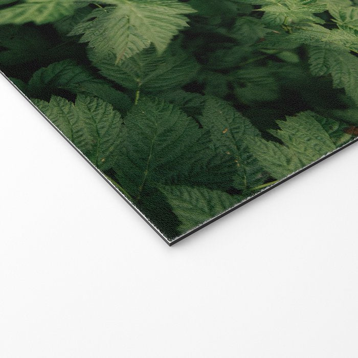 Rubus Welcome Mat Gallery Image 2