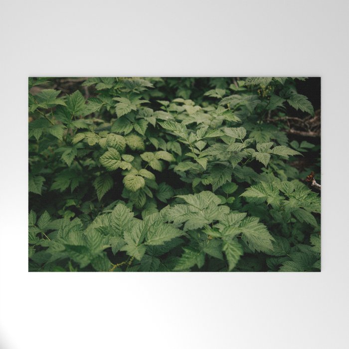 Rubus Welcome Mat Gallery Image 1