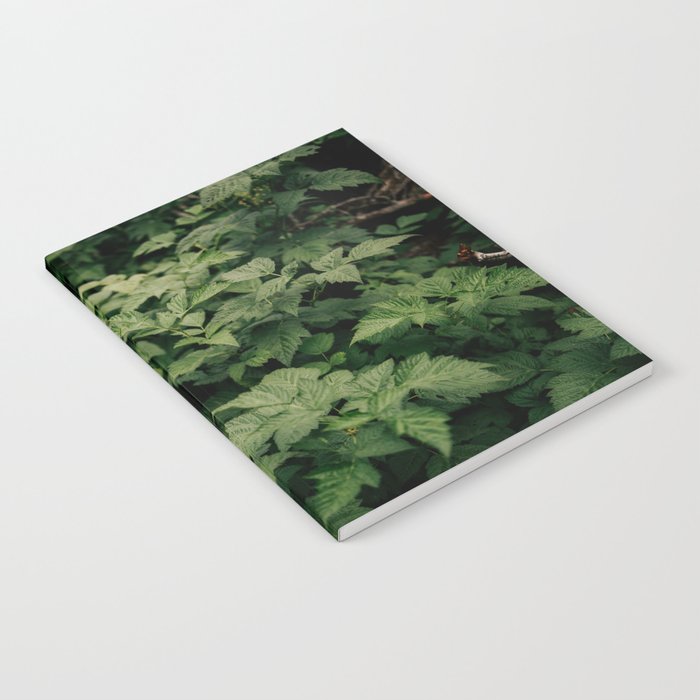 Rubus Notebook Gallery Image 2