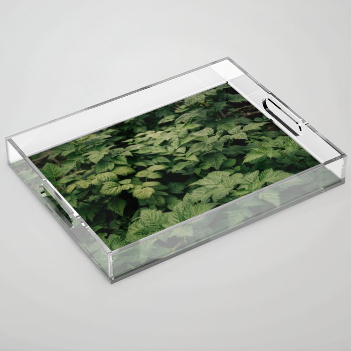 Rubus Acrylic Tray Gallery Image 1
