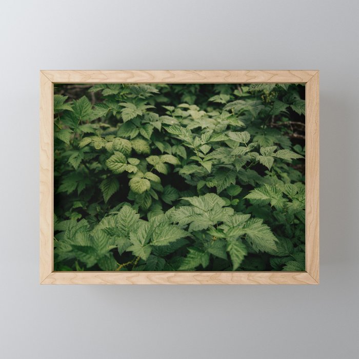 Rubus Mini Art Print Gallery Image 1