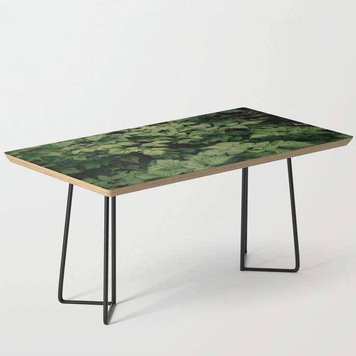 Rubus Coffee Table Gallery Image 1