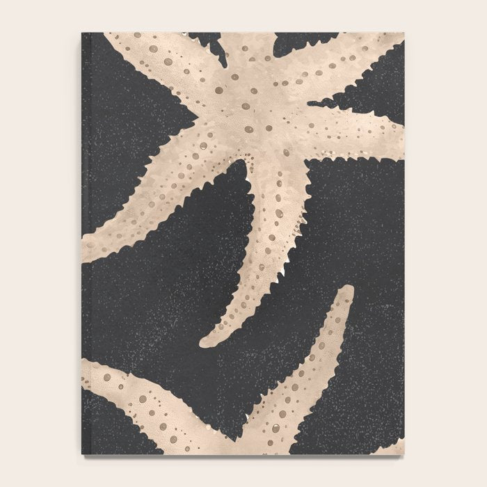 Starfish Harmony 3 Notebook Gallery Image 4