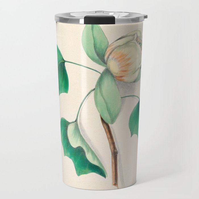 Tulip-tree blossom by Clarissa Munger Badger, 1859 (benefitting The Nature Conservancy) Travel Mug