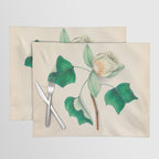 Tulip-tree blossom by Clarissa Munger Badger, 1859 (benefitting The Nature Conservancy) Placemat Gallery Image 1
