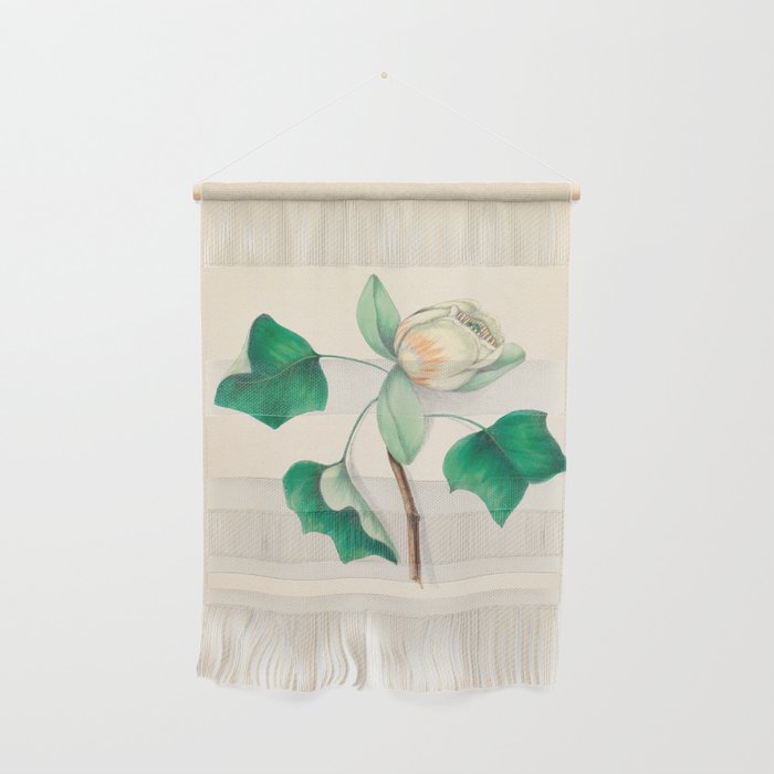 Tulip-tree blossom by Clarissa Munger Badger, 1859 (benefitting The Nature Conservancy) Wall Hanging Gallery Image 1