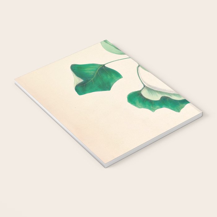 Tulip-tree blossom by Clarissa Munger Badger, 1859 (benefitting The Nature Conservancy) Notebook Gallery Image 3