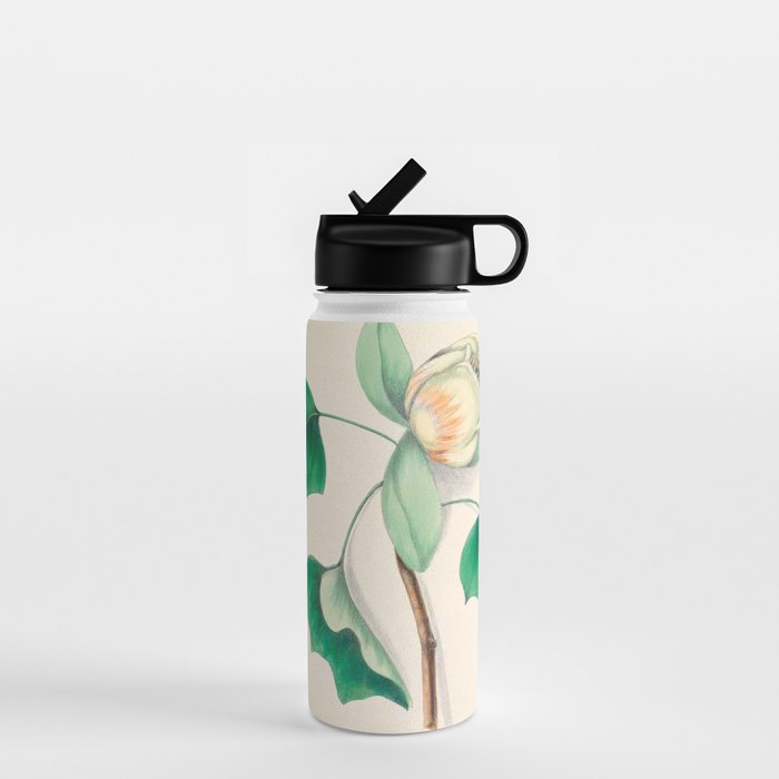 Tulip-tree blossom by Clarissa Munger Badger, 1859 (benefitting The Nature Conservancy) Water Bottle Gallery Image 1