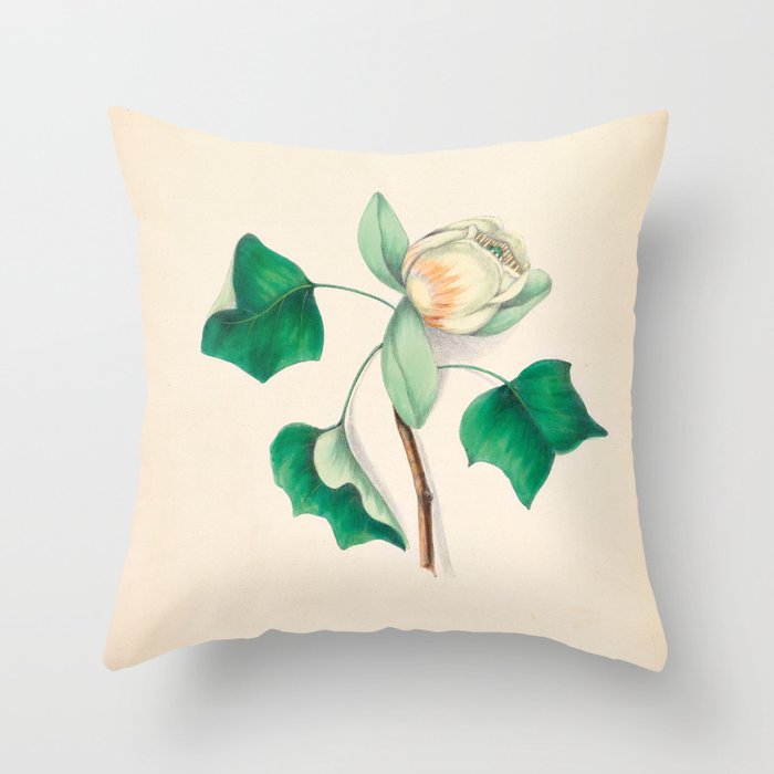 Tulip-tree blossom by Clarissa Munger Badger, 1859 (benefitting The Nature Conservancy) Throw Pillow Gallery Image 6