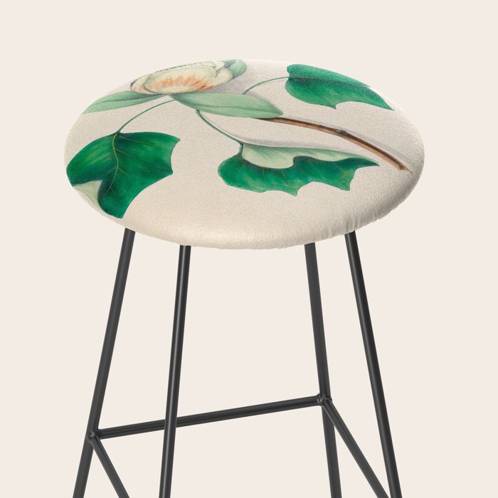 Tulip-tree blossom by Clarissa Munger Badger, 1859 (benefitting The Nature Conservancy) Stool Gallery Image 2