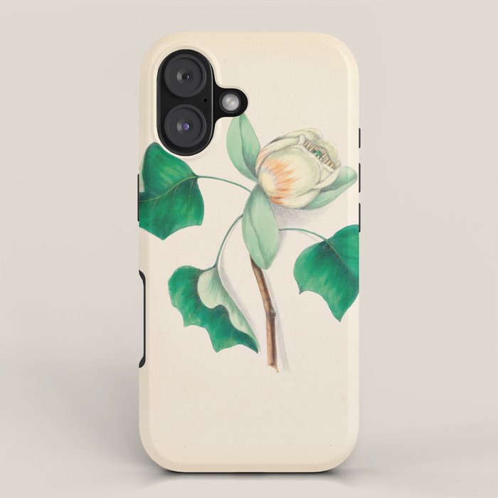 Tulip-tree blossom by Clarissa Munger Badger, 1859 (benefitting The Nature Conservancy) iPhone Case Gallery Image 1