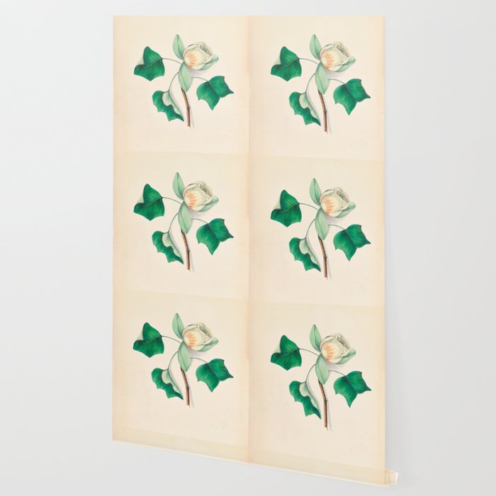 Tulip-tree blossom by Clarissa Munger Badger, 1859 (benefitting The Nature Conservancy) Wallpaper Gallery Image 2