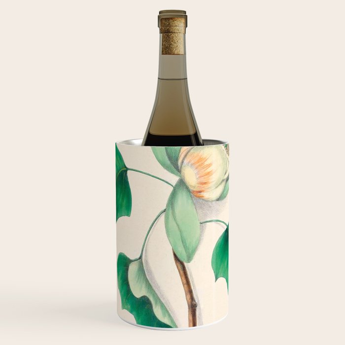 Tulip-tree blossom by Clarissa Munger Badger, 1859 (benefitting The Nature Conservancy) Wine Chiller Gallery Image 1