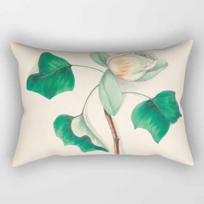 Tulip-tree blossom by Clarissa Munger Badger, 1859 (benefitting The Nature Conservancy) Rectangular Pillow Gallery Image 2