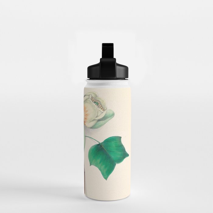 Tulip-tree blossom by Clarissa Munger Badger, 1859 (benefitting The Nature Conservancy) Water Bottle Gallery Image 2
