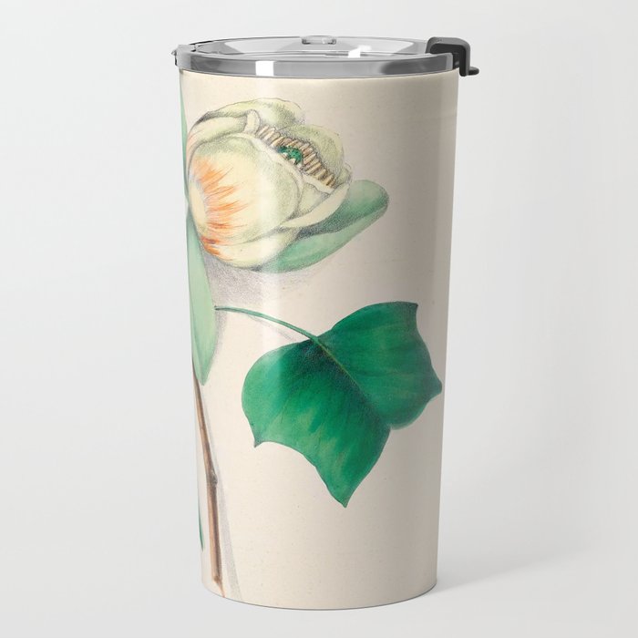 Tulip-tree blossom by Clarissa Munger Badger, 1859 (benefitting The Nature Conservancy) Travel Mug Gallery Image 2