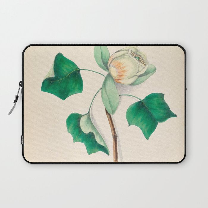 Tulip-tree blossom by Clarissa Munger Badger, 1859 (benefitting The Nature Conservancy) Laptop Sleeve Gallery Image 1