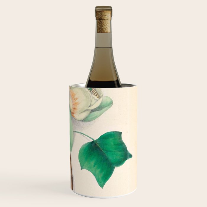 Tulip-tree blossom by Clarissa Munger Badger, 1859 (benefitting The Nature Conservancy) Wine Chiller Gallery Image 3