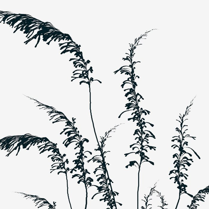 Wild grasses Coffee Mug Gallery Image 2