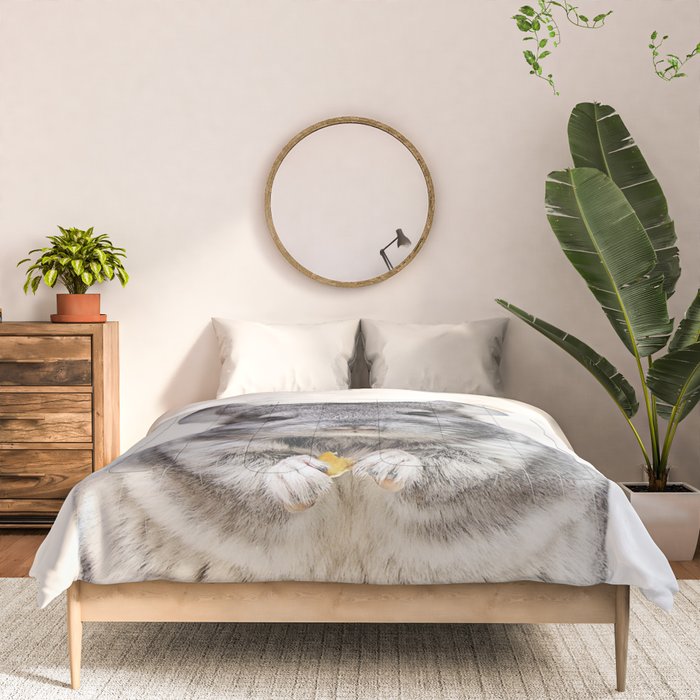 Chinchilla Comforter Gallery Image 3