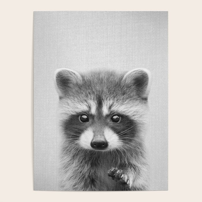 Raccoon - Black & White Poster Gallery Image 4
