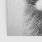 Raccoon - Black & White Poster Gallery Image 3