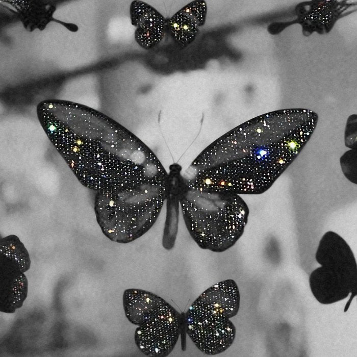 BLACK AND WHITE BUTTERFLIES | photo | sparkle and shine | wings | aesthetic | monochrome | fly  Coffee Mug Gallery Image 2