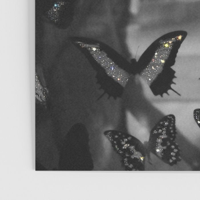 BLACK AND WHITE BUTTERFLIES | photo | sparkle and shine | wings | aesthetic | monochrome | fly  Poster Gallery Image 3